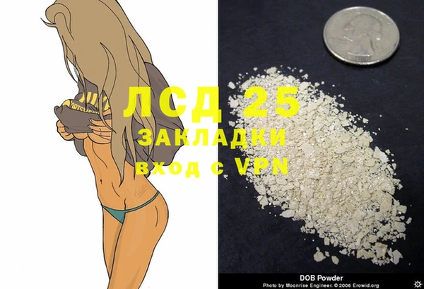 прущие грибы Богородицк