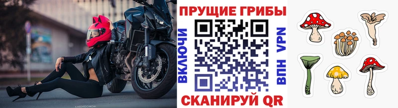 Галлюциногенные грибы мицелий  купить закладку  Надым 